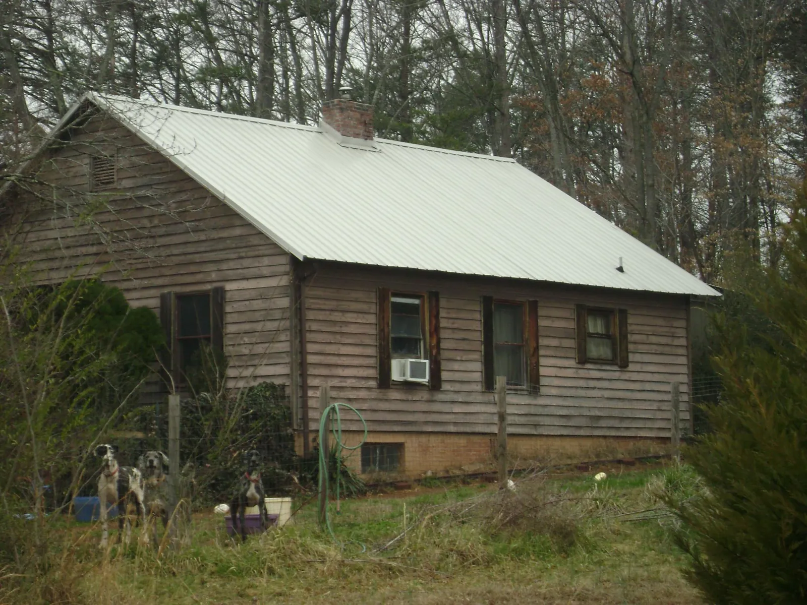 White metal roof on an old wood sided farmhouse, from a Asphalt Shingle Roof Repair job in Clifton Heights